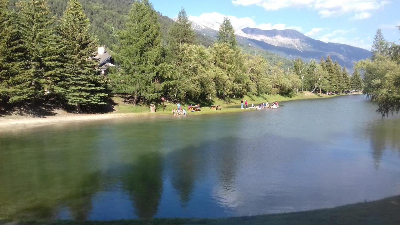 Appartement 24 Les Chalets Du Jardin Alpin La Salle-les-Alpes المظهر الخارجي الصورة
